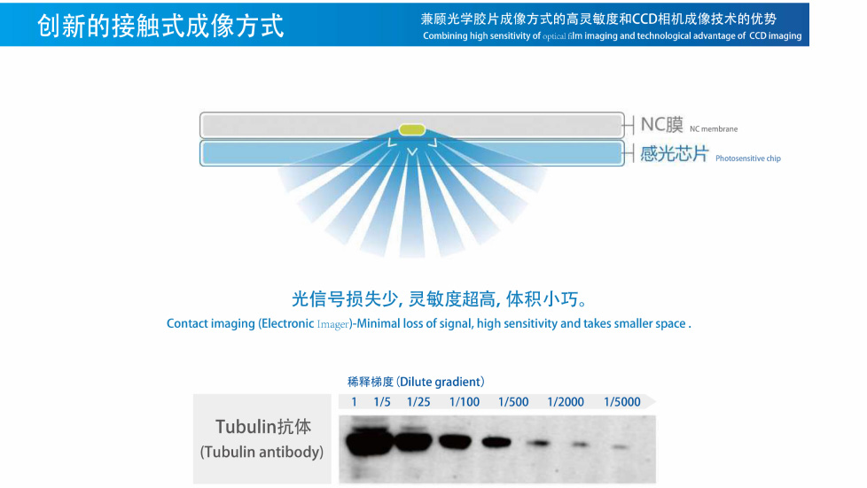 2-小像素.jpg