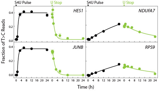 SLAMseq_Figure_01.jpg