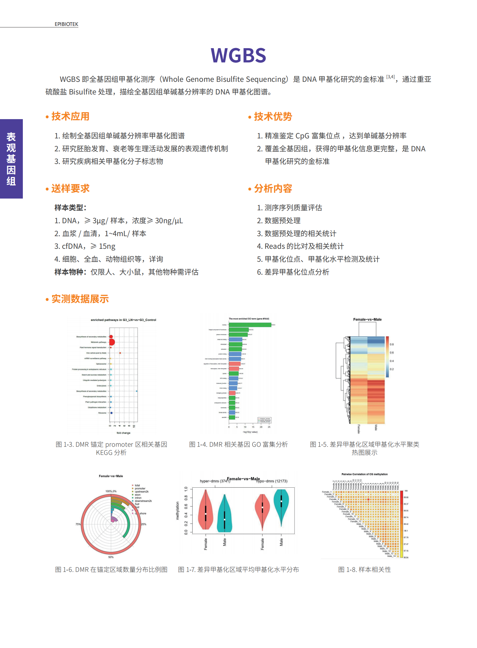 表观基因组服务项目-启衡星_03.png