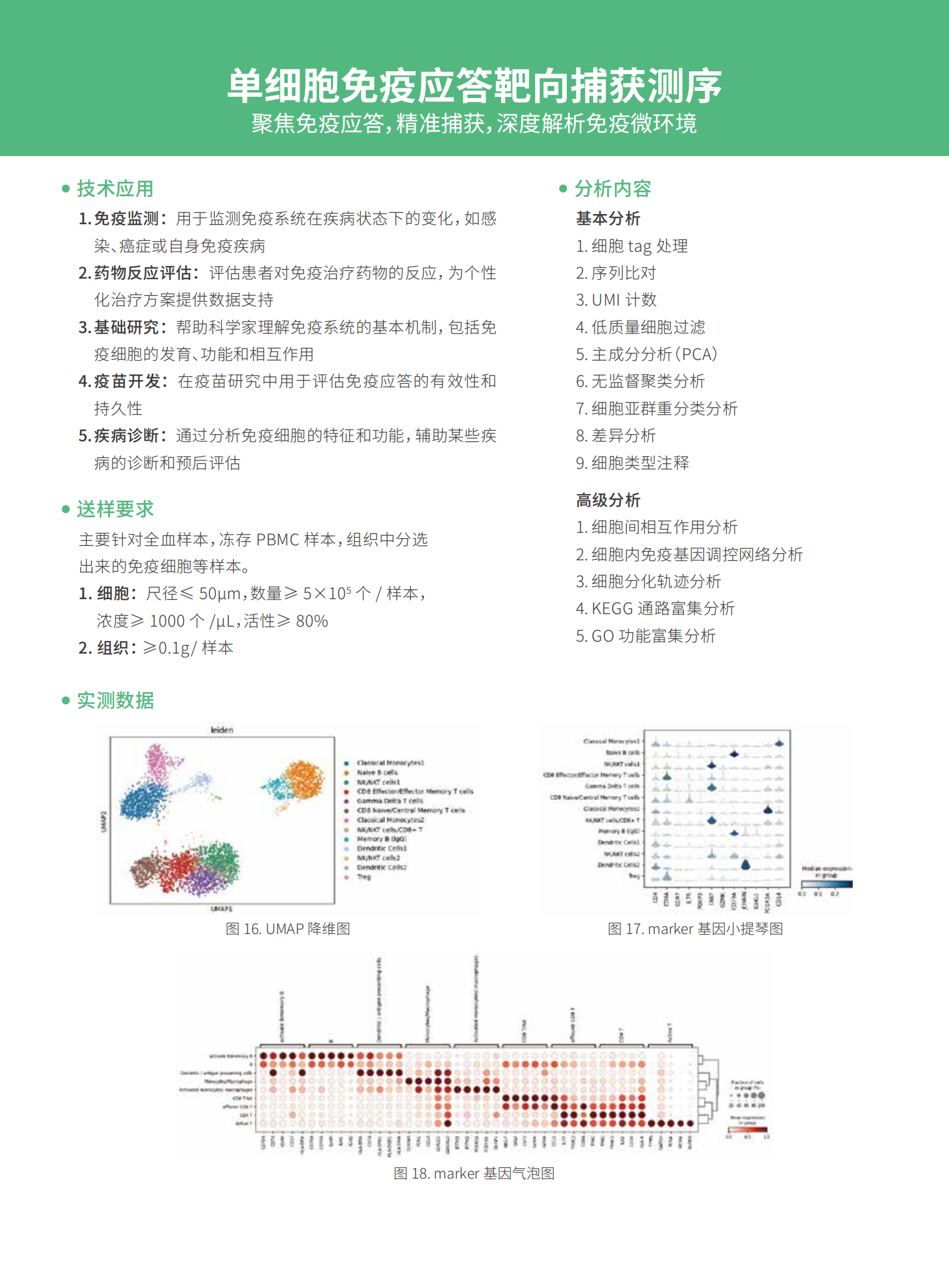 单细胞多组学解决方案-启衡星_06.png